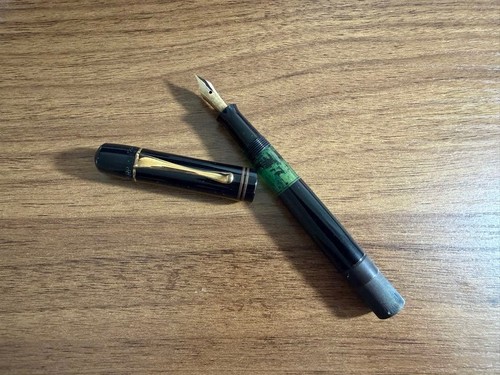 Pelikan 100